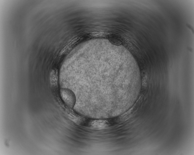 X0000100310179200806261211