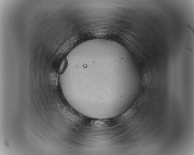 X0000100310180200806261211