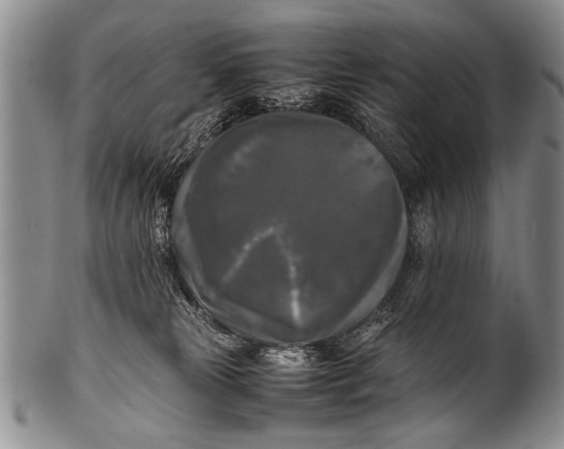 X0000100310181200806261211