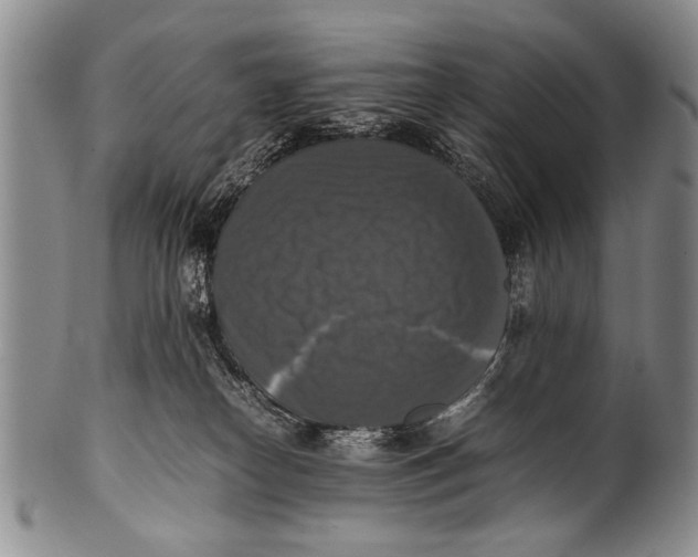 X0000100310182200806261211