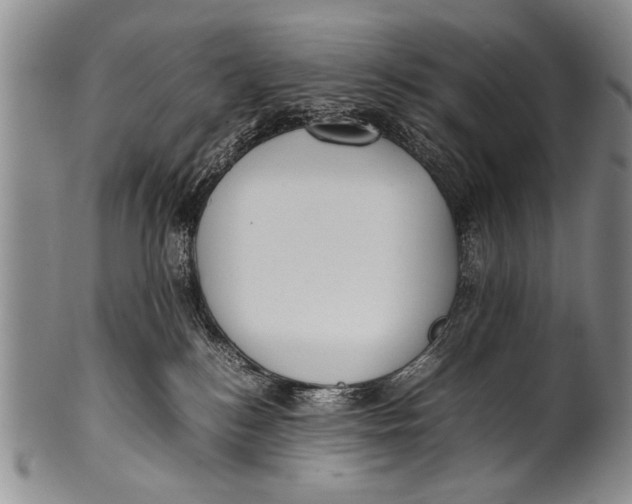 X0000100310184200806261211