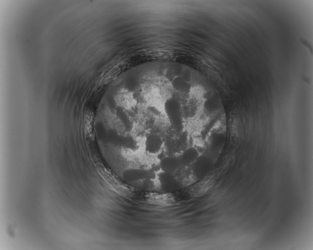 X0000100310185200806261211