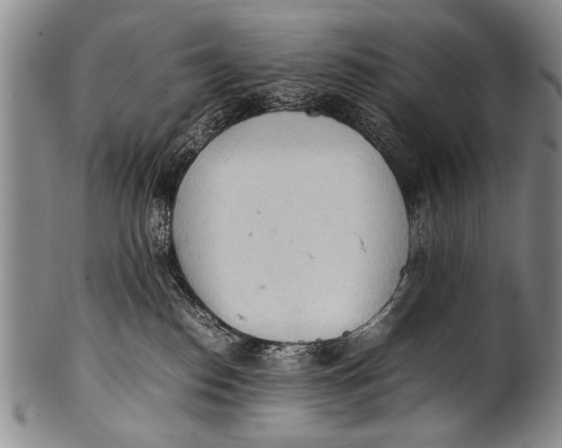 X0000100310186200806261211