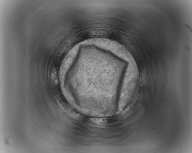 X0000100310187200806261211