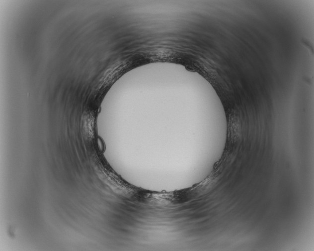 X0000100310188200806261211