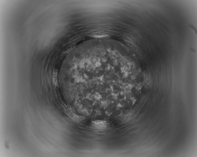 X0000100310189200806261211