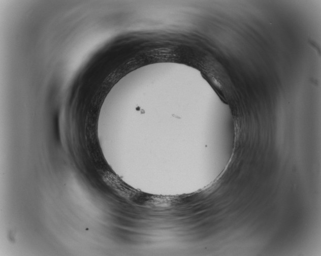 X0000100310190200806261211