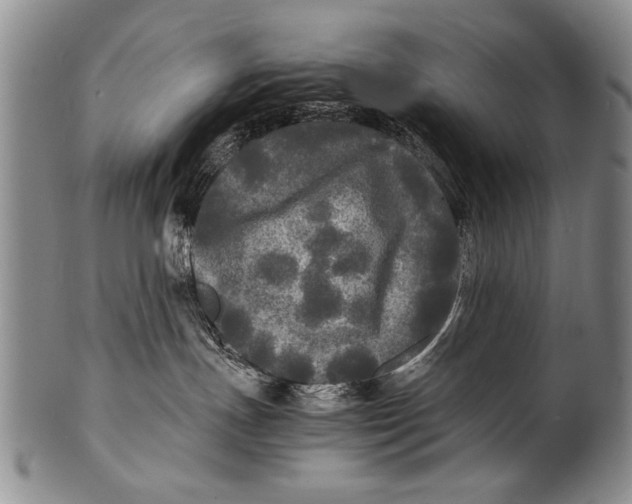 X0000100310191200806261211