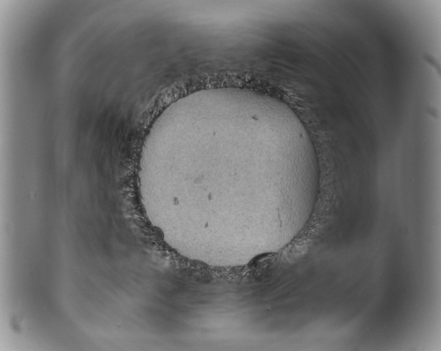 X0000100310192200806261211