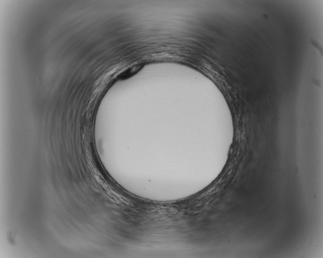 X0000100310193200806261210