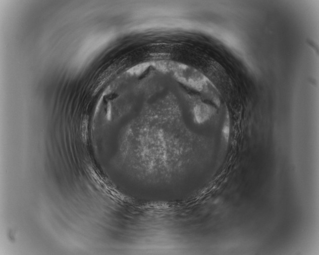 X0000100310194200806261210