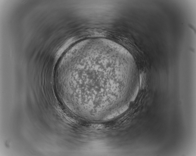 X0000100310195200806261210