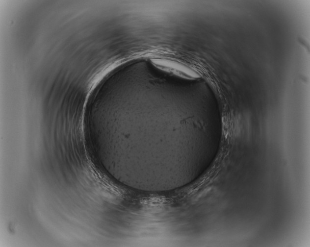 X0000100310196200806261210