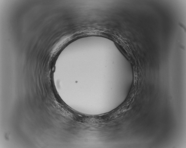 X0000100310197200806261210