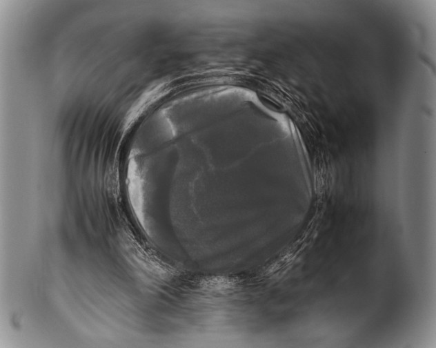 X0000100310198200806261210