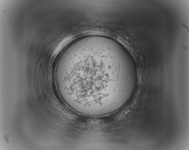 X0000100310199200806261210