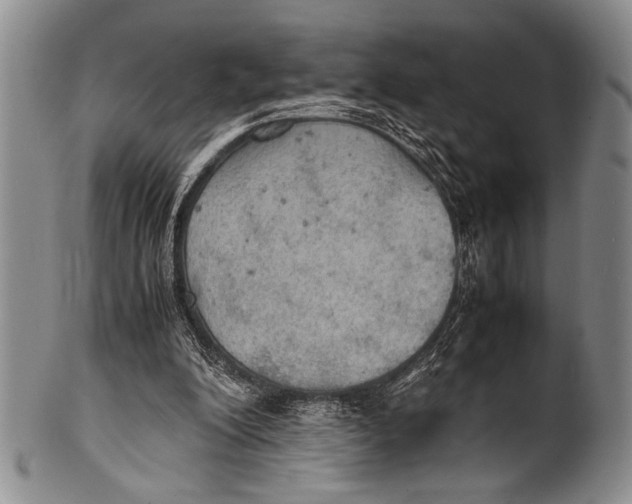 X0000100310200200806261210