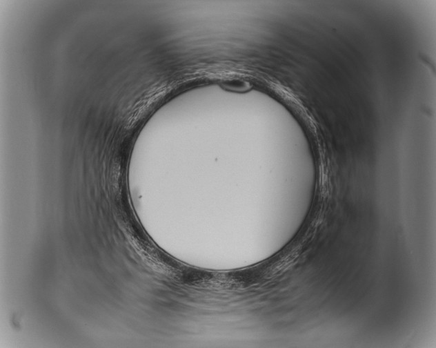 X0000100310201200806261210