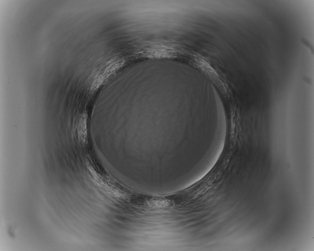 X0000100310202200806261210