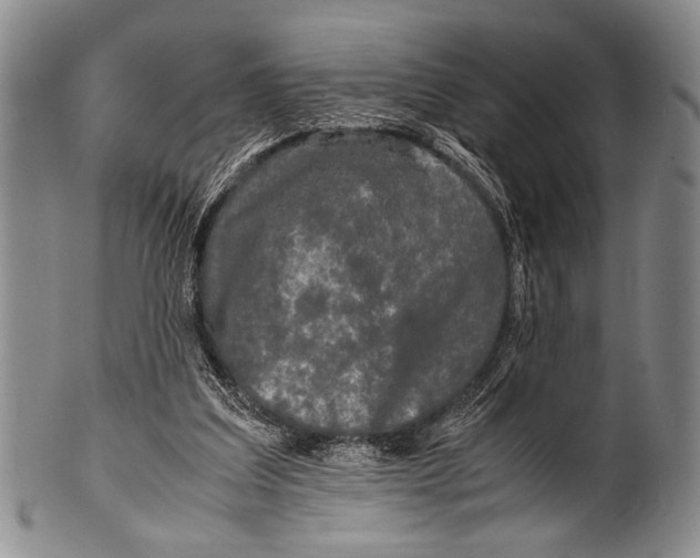 X0000100310203200806261210