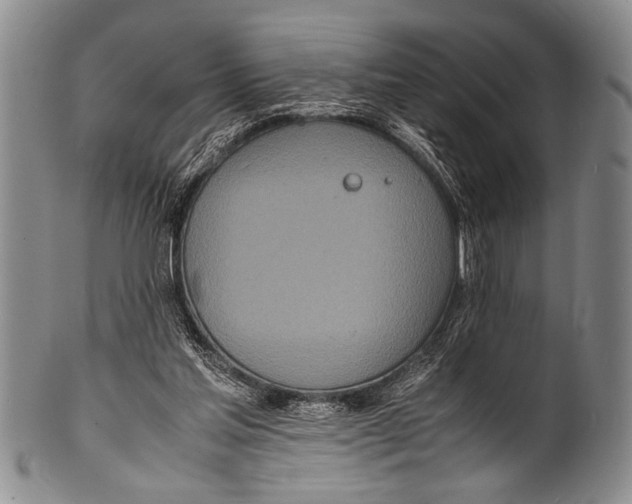 X0000100310205200806261210