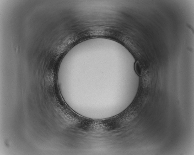 X0000100310207200806261210