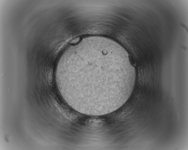 X0000100310208200806261210