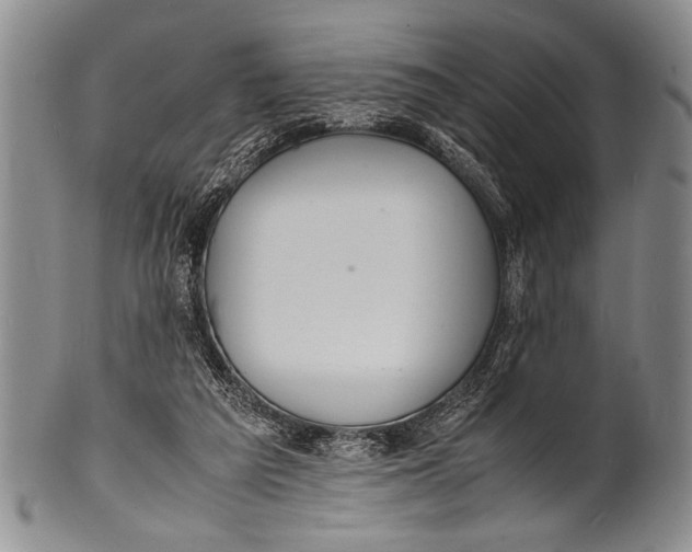 X0000100310209200806261210