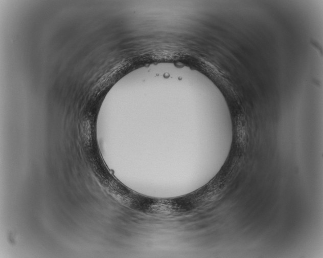 X0000100310211200806261210