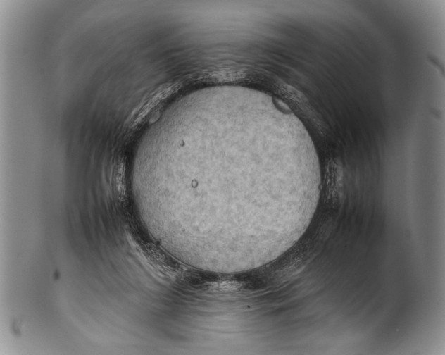 X0000100310212200806261210