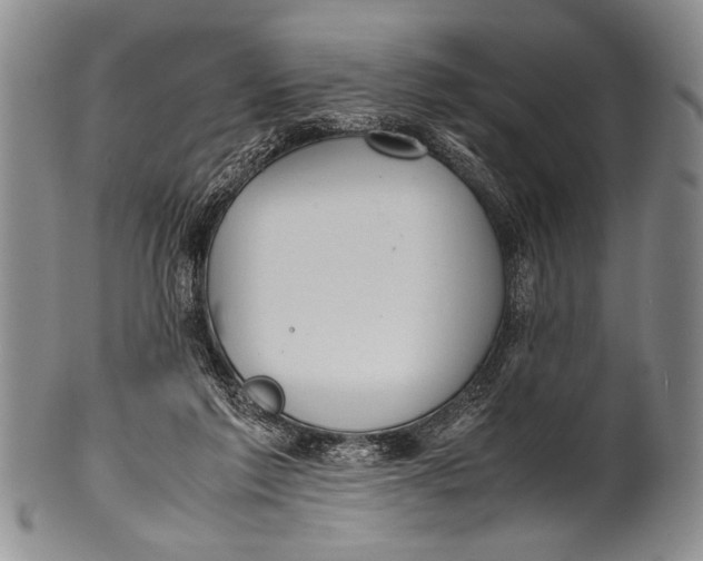 X0000100310213200806261210