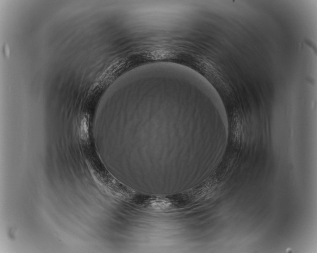 X0000100310214200806261210