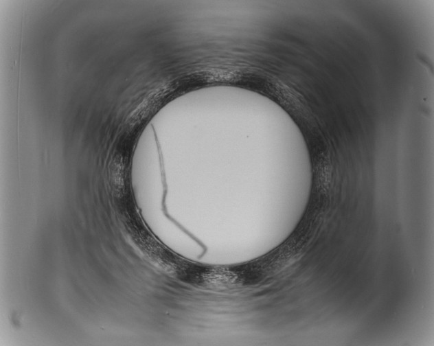 X0000100310215200806261210