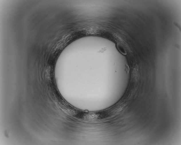 X0000100310217200806261210