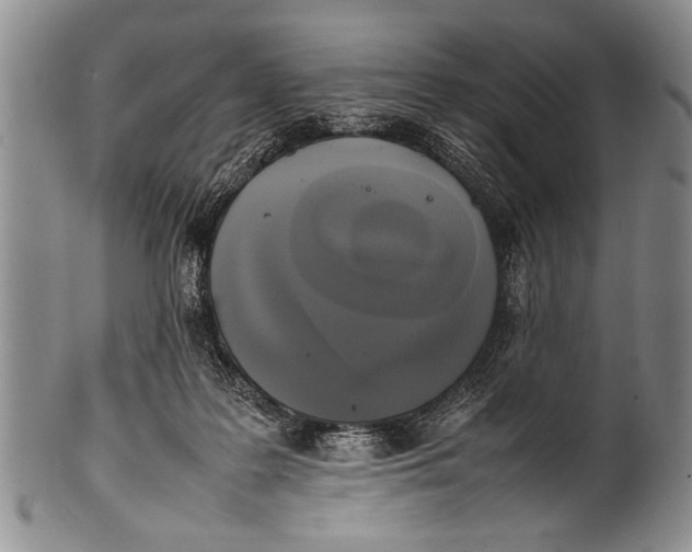 X0000100310219200806261210