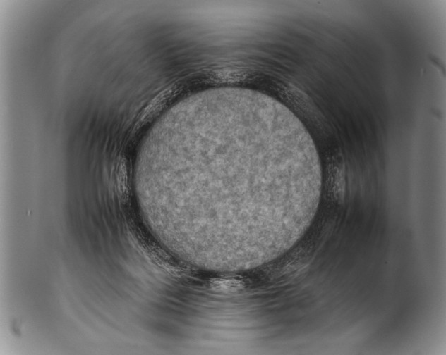 X0000100310220200806261210