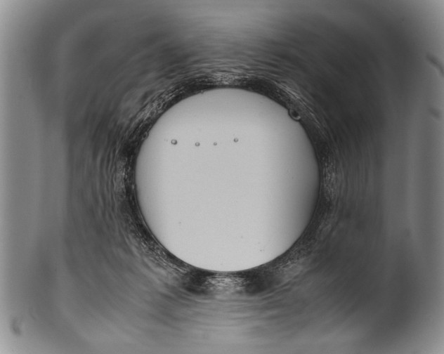 X0000100310221200806261210