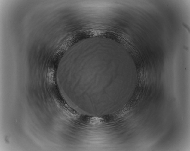 X0000100310222200806261210