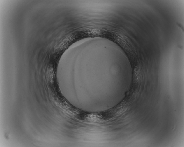 X0000100310223200806261210