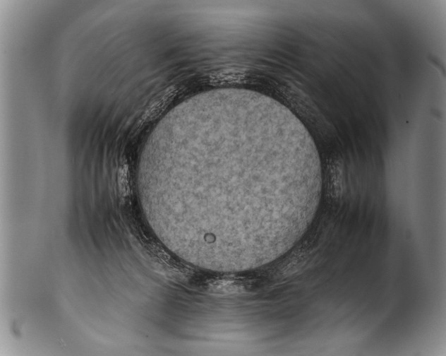 X0000100310224200806261210