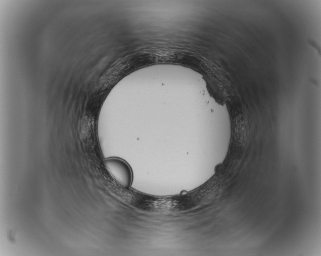 X0000100310225200806261210