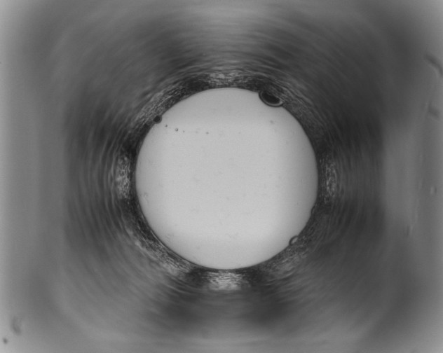 X0000100310226200806261210