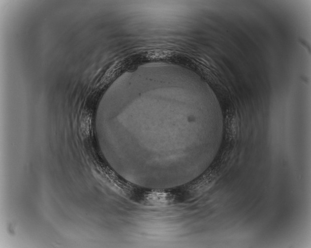 X0000100310227200806261210