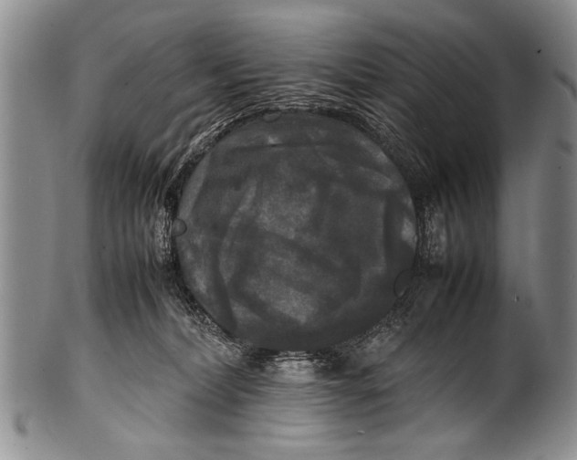 X0000100310228200806261210