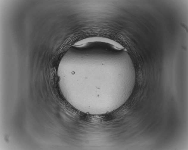 X0000100310229200806261210