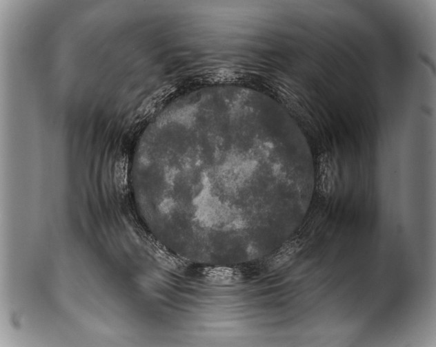 X0000100310230200806261210