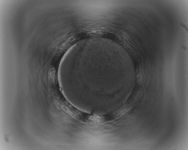 X0000100310231200806261210