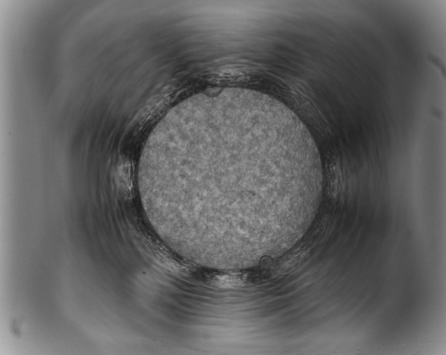 X0000100310232200806261210