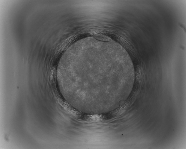 X0000100310233200806261210