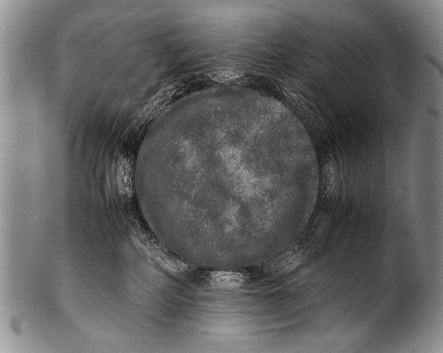 X0000100310234200806261210